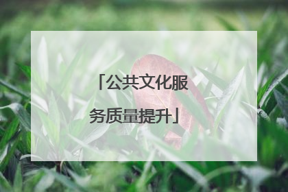 公共文化服务质量提升