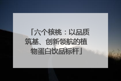 六个核桃：以品质筑基、创新领航的植物蛋白饮品标杆
