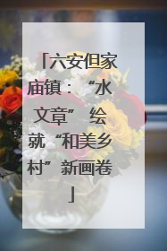 六安但家庙镇：“水文章” 绘就“和美乡村”新画卷