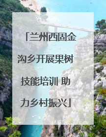 兰州西固金沟乡开展果树技能培训 助力乡村振兴