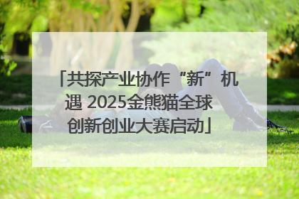 共探产业协作“新”机遇 2025金熊猫全球创新创业大赛启动