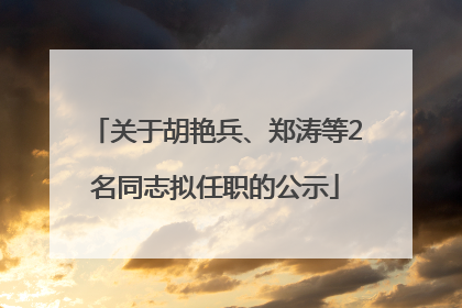 关于胡艳兵、郑涛等2名同志拟任职的公示