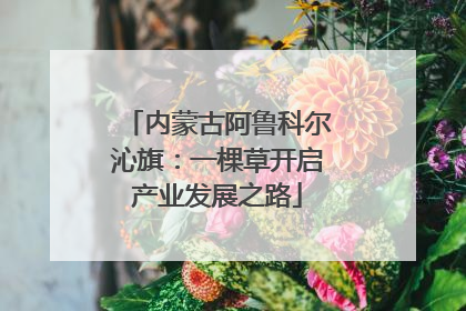 内蒙古阿鲁科尔沁旗：一棵草开启产业发展之路