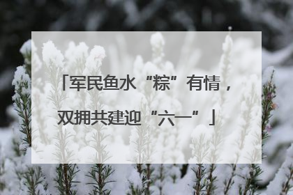 军民鱼水“粽”有情，双拥共建迎“六一”