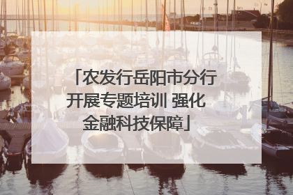 农发行岳阳市分行开展专题培训 强化金融科技保障