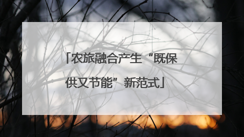 农旅融合产生“既保供又节能”新范式