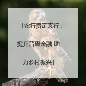 农行贵定支行：提升普惠金融 助力乡村振兴