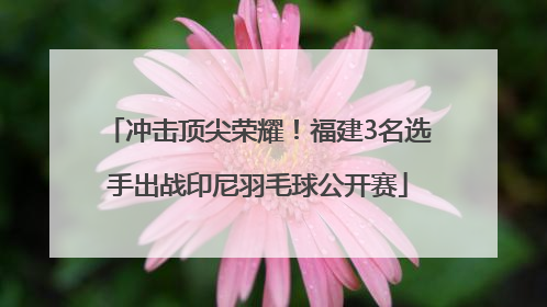 冲击顶尖荣耀！福建3名选手出战印尼羽毛球公开赛