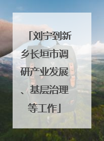 刘宁到新乡长垣市调研产业发展、基层治理等工作