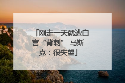 刚走一天就遭白宫“背刺” 马斯克：很失望