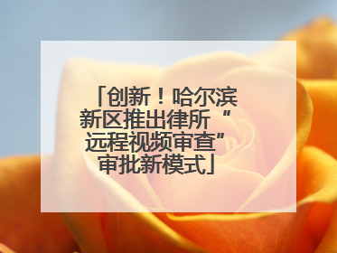 创新！哈尔滨新区推出律所“远程视频审查”审批新模式