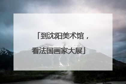 到沈阳美术馆，看法国画家大展