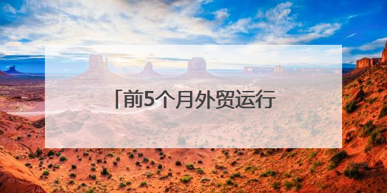 前5个月外贸运行有何特点、亮点？一组数据带你看