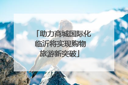 助力商城国际化 临沂将实现购物旅游新突破