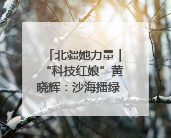 北疆她力量｜“科技红娘”黄晓辉：沙海播绿，搭桥撬动5.3亿研发