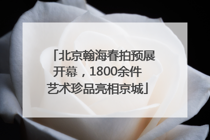 北京翰海春拍预展开幕，1800余件艺术珍品亮相京城