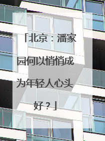 北京：潘家园何以悄悄成为年轻人心头好？