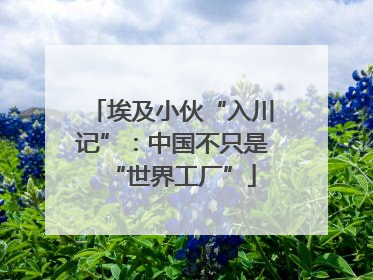 埃及小伙“入川记”：中国不只是“世界工厂”