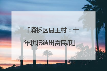 埇桥区夏王村：十年耕耘结出富民瓜
