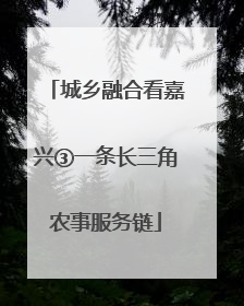 城乡融合看嘉兴③一条长三角农事服务链