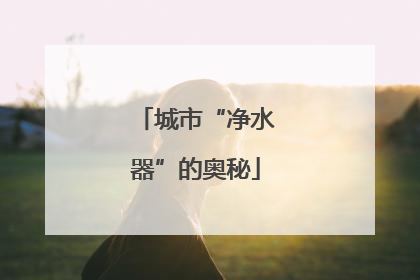 城市“净水器”的奥秘