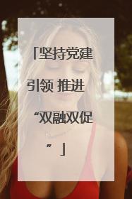 坚持党建引领 推进“双融双促”