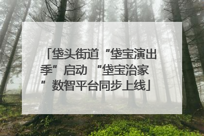 垡头街道“垡宝演出季”启动 “垡宝治家”数智平台同步上线