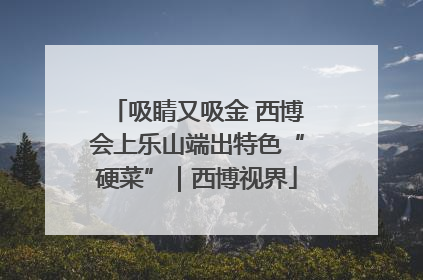 吸睛又吸金 西博会上乐山端出特色“硬菜”｜西博视界