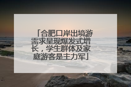 合肥口岸出境游需求呈现爆发式增长，学生群体及家庭游客是主力军