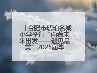 合肥市琥珀名城小学举行“向着未来出发——遇见最美”2025届毕业典礼