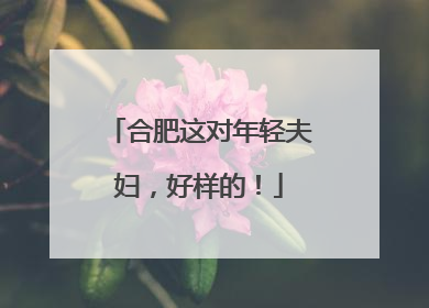 合肥这对年轻夫妇，好样的！