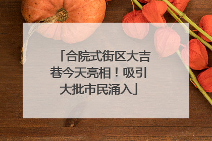 合院式街区大吉巷今天亮相！吸引大批市民涌入