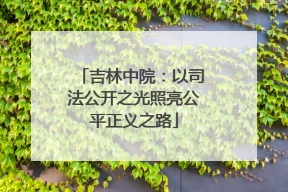 吉林中院：以司法公开之光照亮公平正义之路