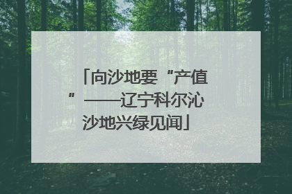 向沙地要“产值”——辽宁科尔沁沙地兴绿见闻