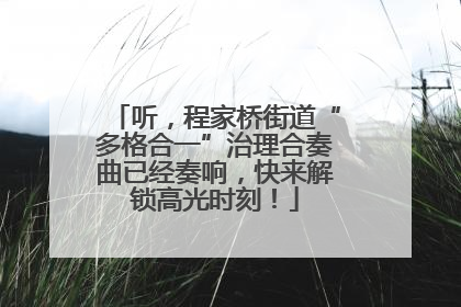 听，程家桥街道“多格合一”治理合奏曲已经奏响，快来解锁高光时刻！