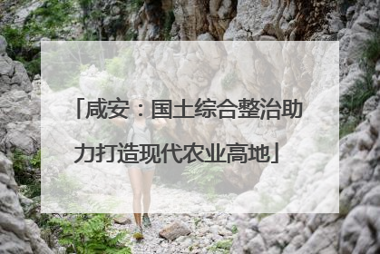 咸安：国土综合整治助力打造现代农业高地