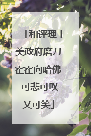 和评理丨美政府磨刀霍霍向哈佛 可悲可叹又可笑
