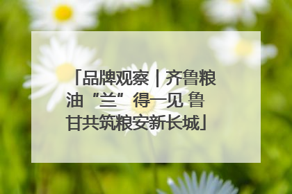 品牌观察｜齐鲁粮油“兰”得一见 鲁甘共筑粮安新长城