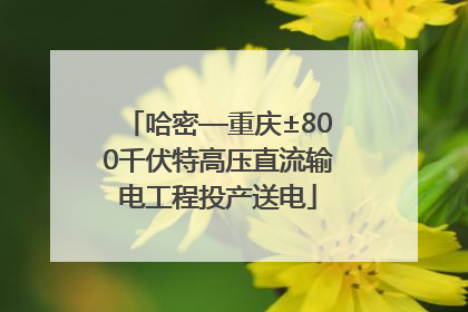 哈密—重庆±800千伏特高压直流输电工程投产送电