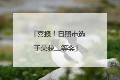 喜报！日照市选手荣获二等奖