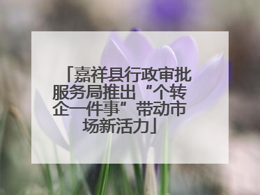 嘉祥县行政审批服务局推出“个转企一件事”带动市场新活力