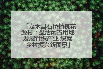 嘉禾县石桥镇桃花源村：盘活闲置用地发展针织产业 织就乡村振兴新图景