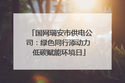 国网瑞安市供电公司：绿色同行添动力 低碳赋能环境日