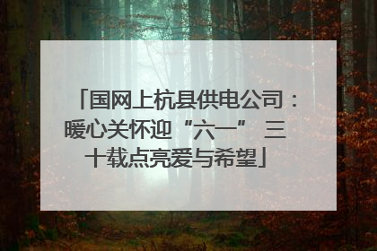 国网上杭县供电公司：暖心关怀迎“六一” 三十载点亮爱与希望