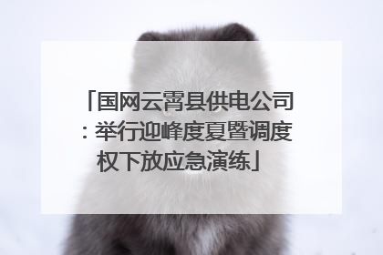 国网云霄县供电公司：举行迎峰度夏暨调度权下放应急演练