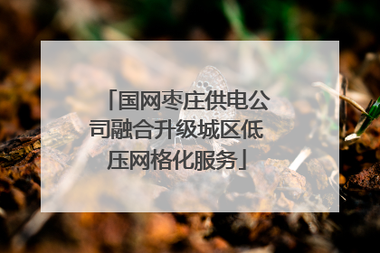 国网枣庄供电公司融合升级城区低压网格化服务