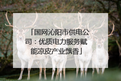 国网沁阳市供电公司：优质电力服务赋能凉皮产业飘香