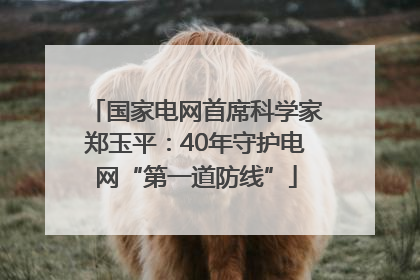 国家电网首席科学家郑玉平：40年守护电网“第一道防线”