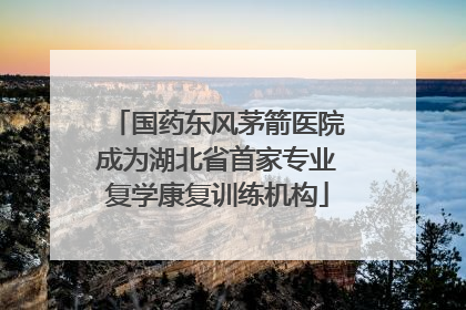 国药东风茅箭医院成为湖北省首家专业复学康复训练机构