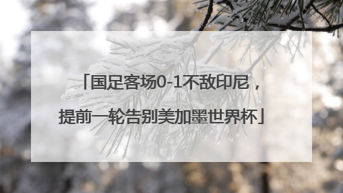 国足客场0-1不敌印尼，提前一轮告别美加墨世界杯